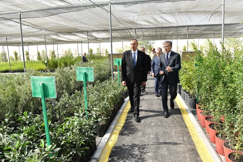 Prezident Salyanın Xıdırlı kəndində dəniz suyunun duzsuzlaşdırılması kompleksinin fəaliyyəti ilə tanış olub