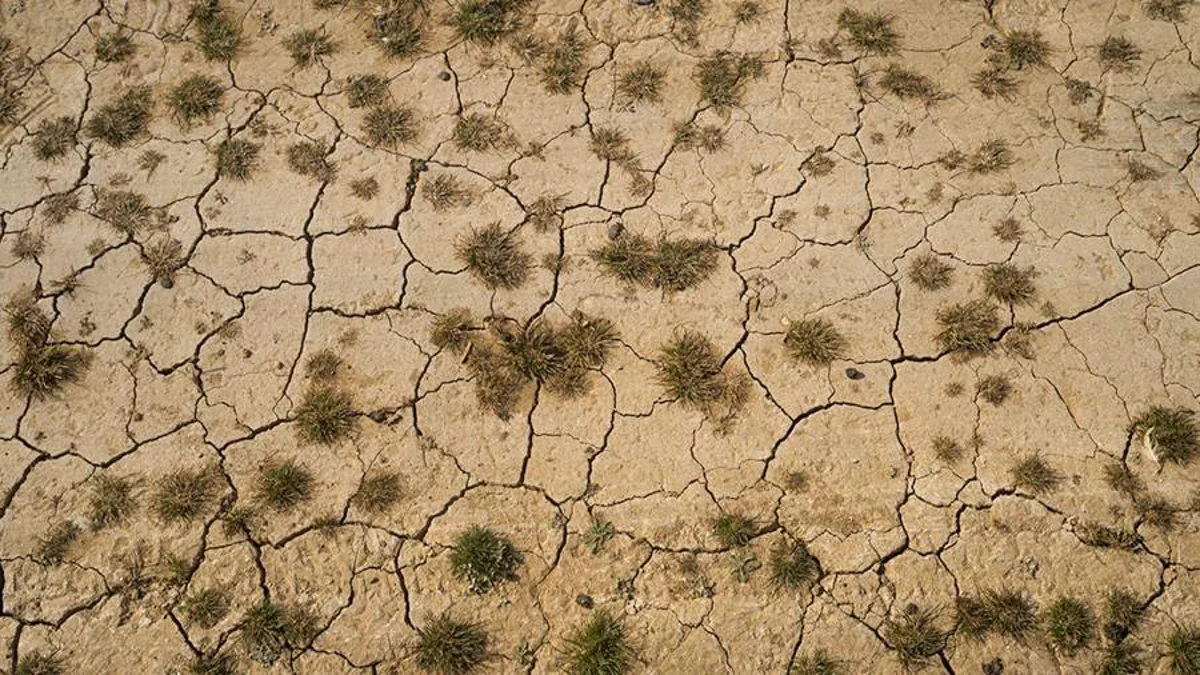 President of Zimbabwe declares national disaster amid drought