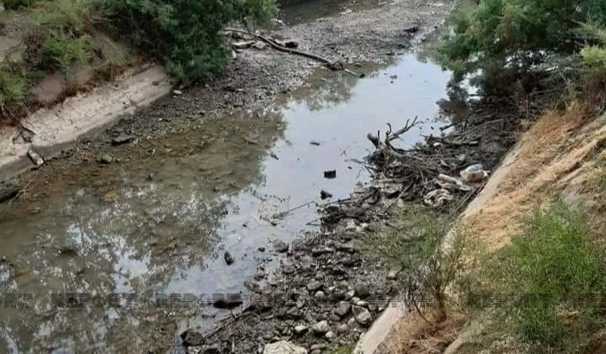 Cənubi Muğan kanalında suyun səviyyəsi yüksəlib
