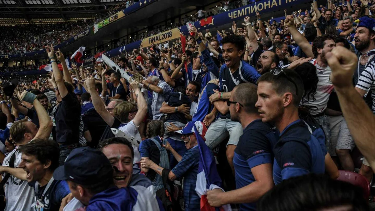 Матчи ЧМ-2018 посетили 2,9 млн человек