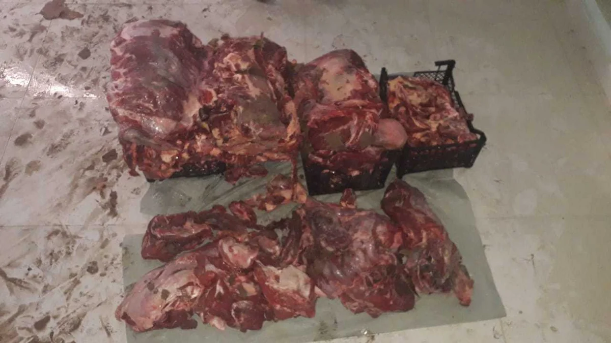 Bərdədə “Bala Tofiq” ləqəbli leş əti satan şəxs ifşa edilib