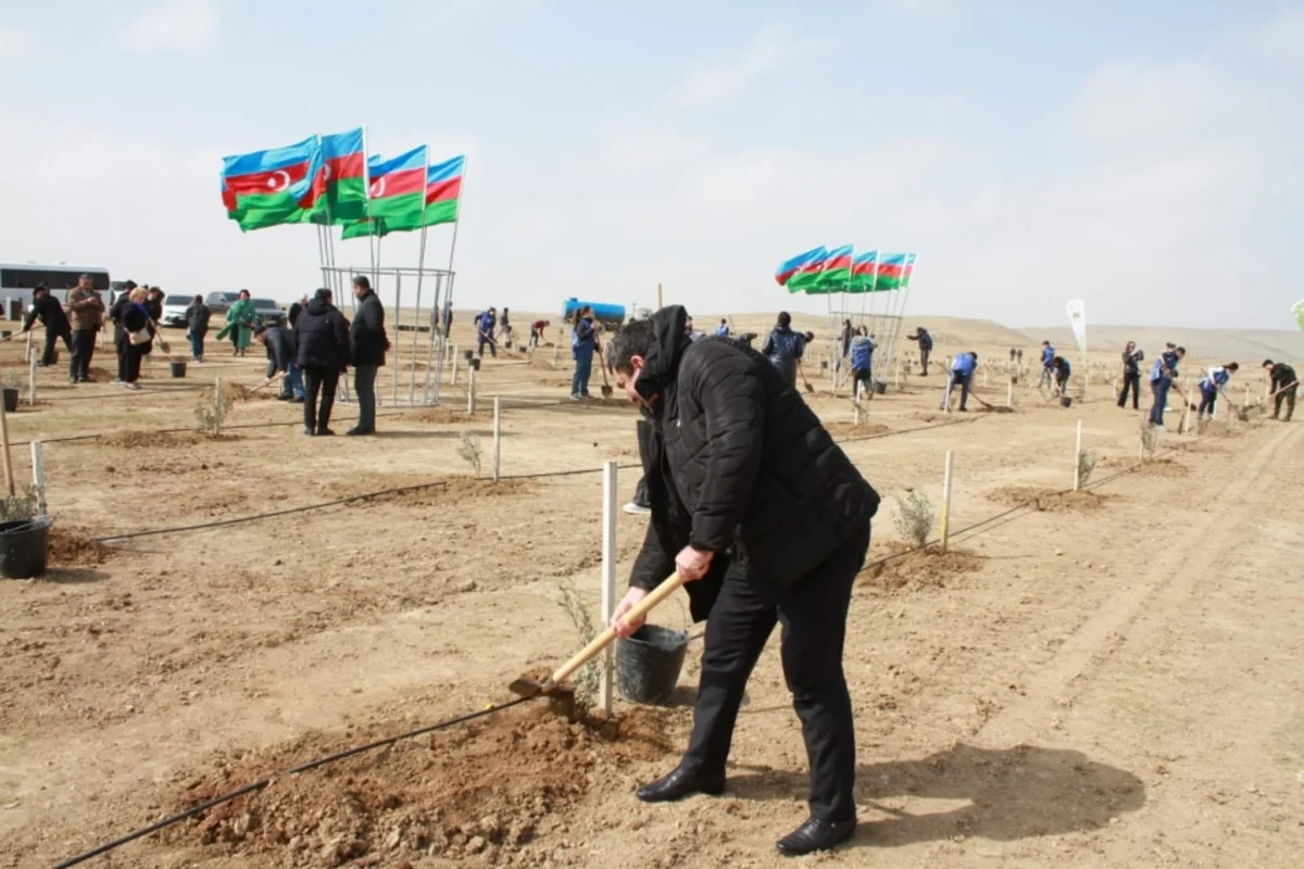 “Yaşıl Gələcək” platforması üzərindən 100 min ağac əkilib