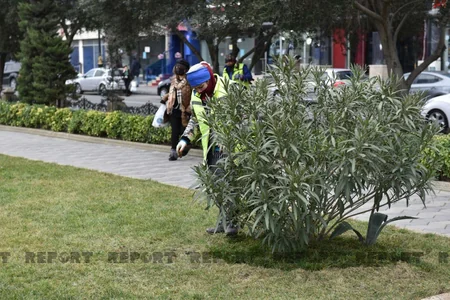 Xocalı soyqırımının 30-cu ildönümü ilə bağlı hazırlıq işlərinə başlanılıb