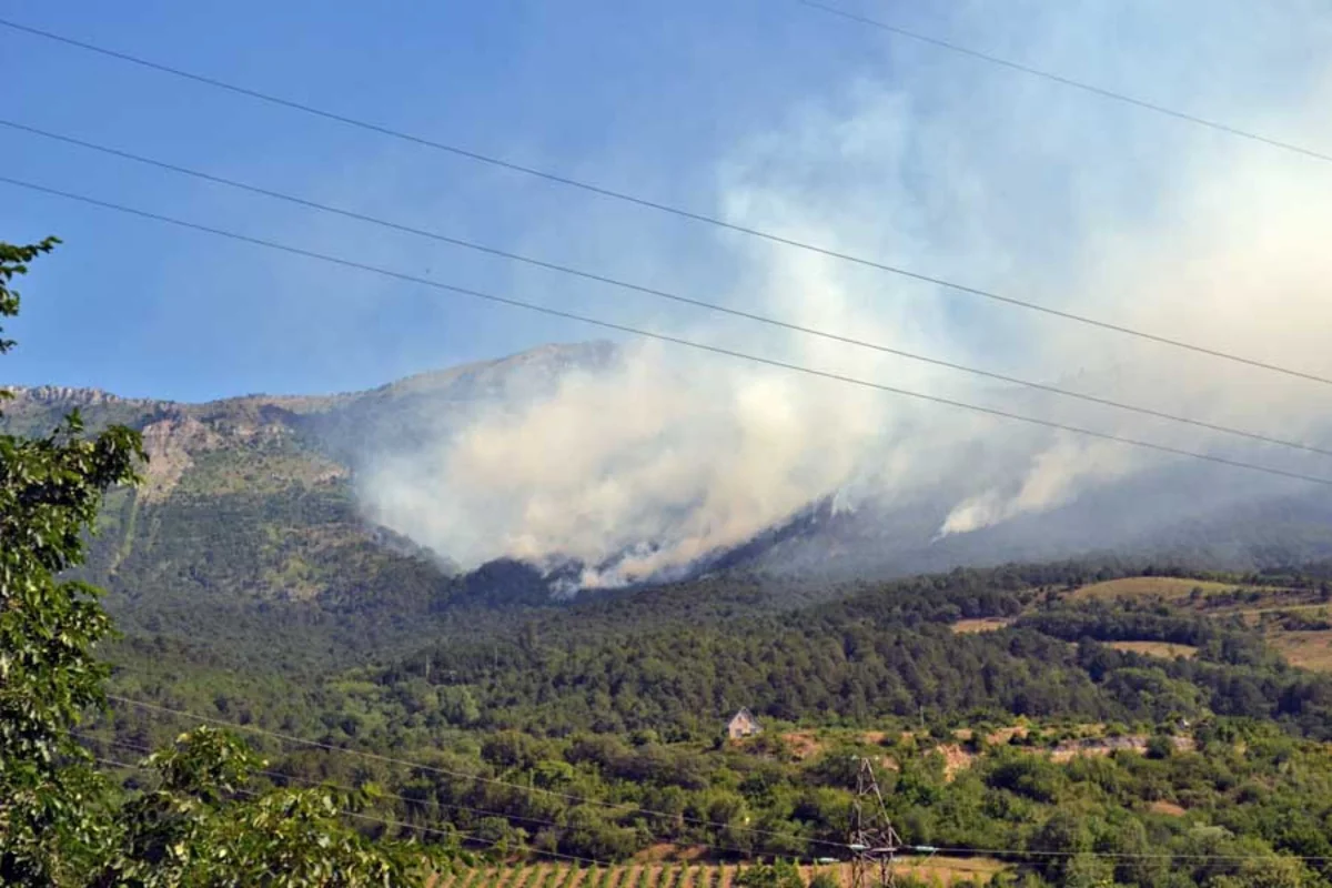 ​Ministry gave information about forest fire in Sheki