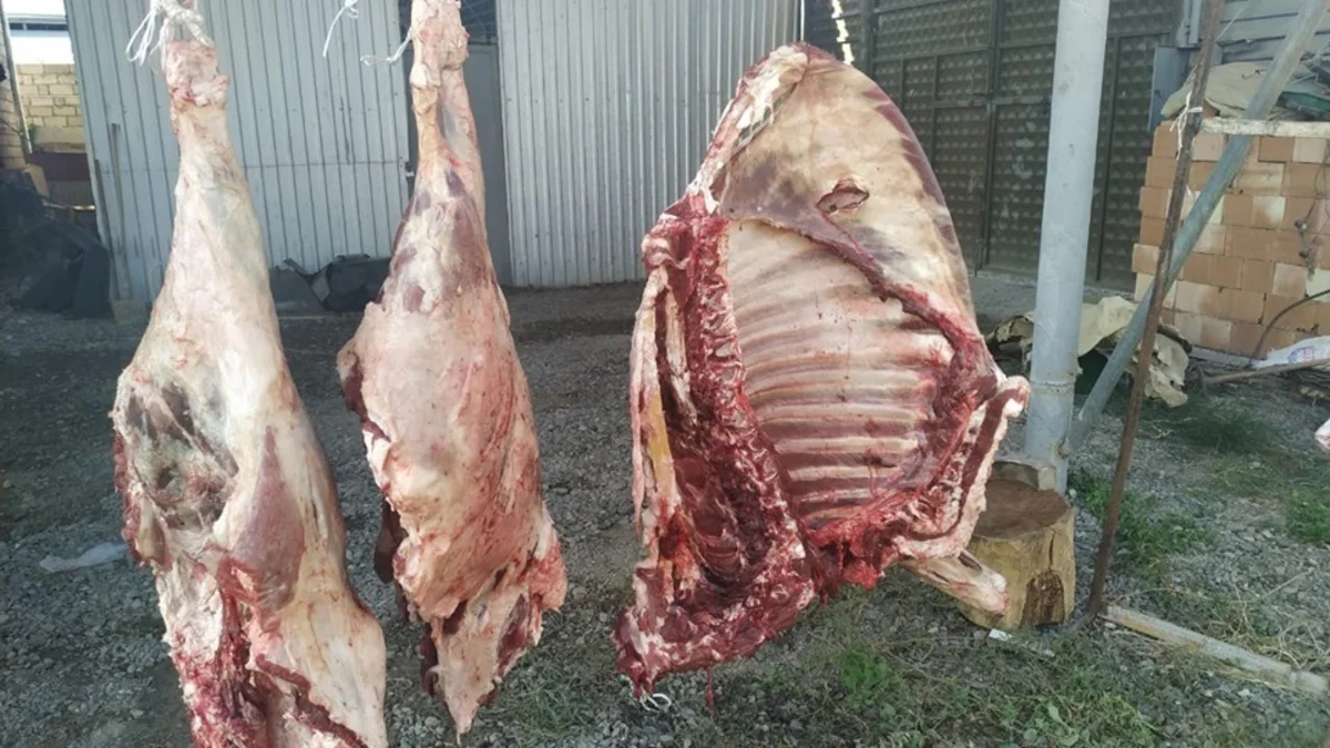 Mingəçevirdə ölmüş heyvan ətinin satışa çıxarılmasının qarşısı alınıb