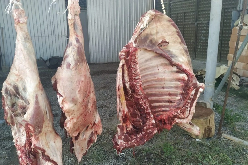 Mingəçevirdə ölmüş heyvan ətinin satışa çıxarılmasının qarşısı alınıb