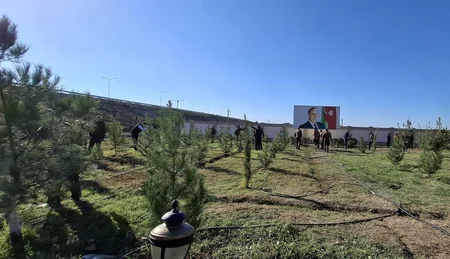 FHN-in Aran Regional Mərkəzi ağacəkmə aksiyası keçirib
