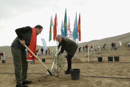 Azərbaycanda Türk Dövlətləri Milli Ağaclandırma Günü münasibətilə 111 min 111 ağac əkilib
