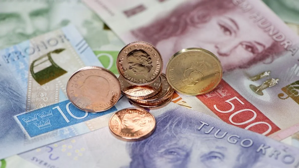 Sweden studies how to save cash from extinction