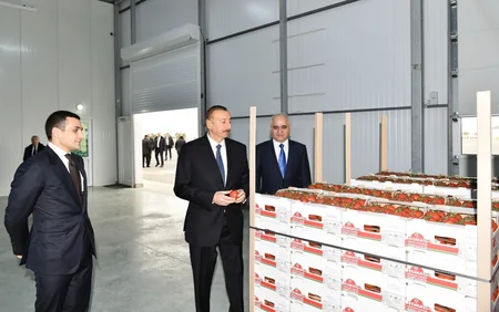 Prezident İlham Əliyev Zirə qəsəbəsində “BAKU AGROPARK”da görülən işlərlə tanış olub