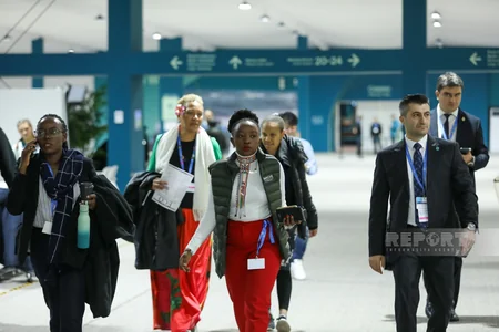 Photos from COP29 Day 8 in Baku