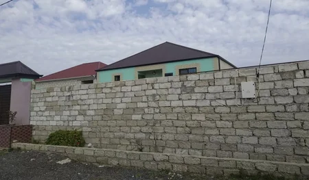 Asan qazanc hərisliyi COVID-19-dan daha yaşlı və qorxuludur - ARAŞDIRMA