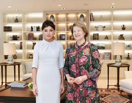 Birinci vitse-prezident Böyük Britaniya Baş nazirinin Azərbaycan üzrə ticarət elçisi ilə görüşüb - YENİLƏNİB