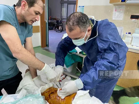 Азербайджанские врачи принимают активное участие в эвакуации пострадавших в ходе землетрясения в Турции