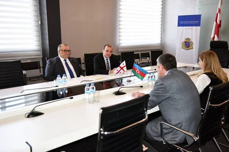 Aleksandr Cecelava: Gürcüstan Azərbaycanla təhsil sahəsində əlaqələrin inkişafında maraqlıdır