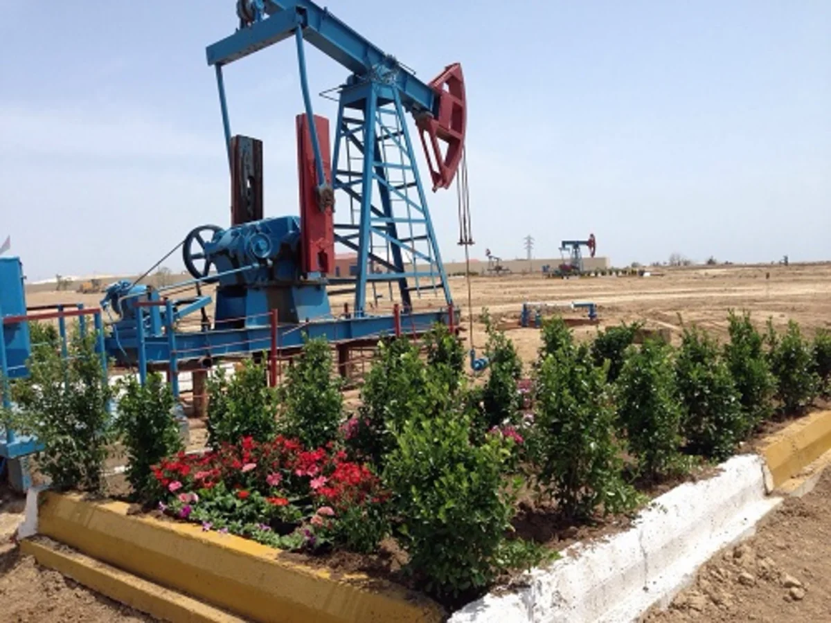 ​Azneft İB bu il ekoloji sahədə gördüyü işlərin hesabatını açıqlayıb