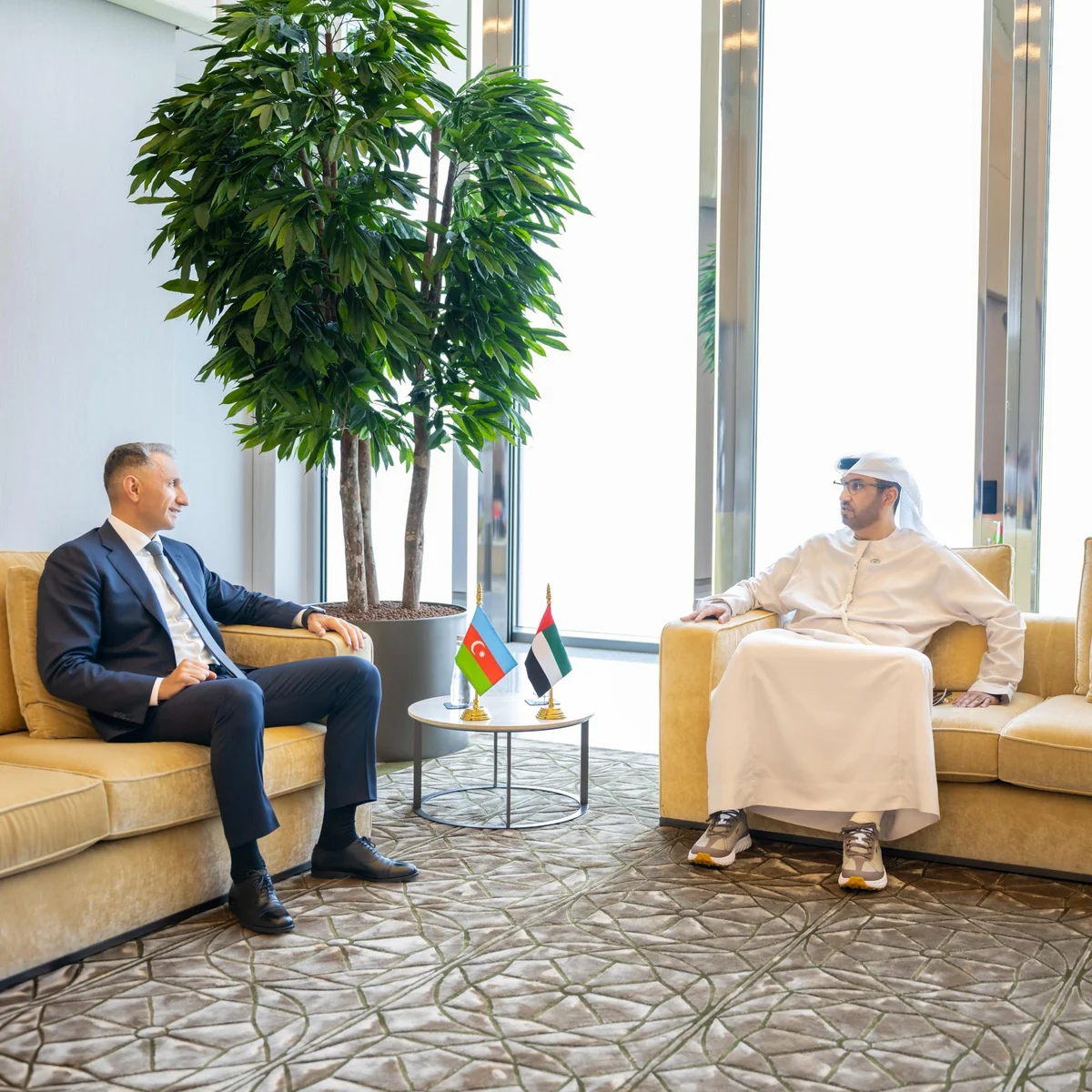 Azerbaijan and UAE may establish joint AI research center