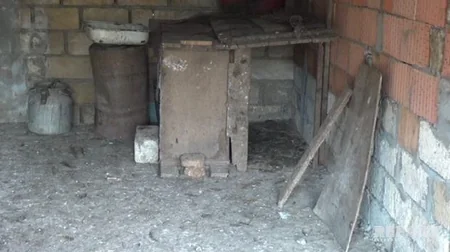 Cəlilabadda ev quşları başı və ayaqları kəsilərək oğurlanıb - FOTO