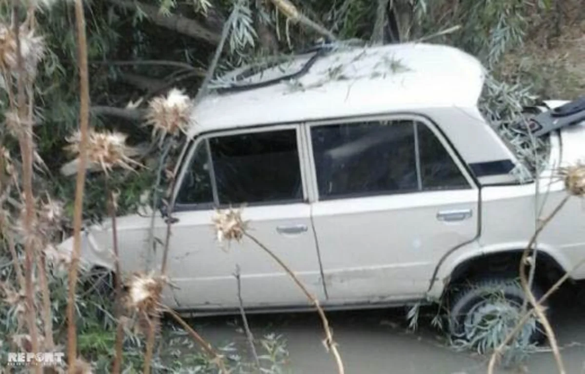 Sabirabadda yol qəzasında xəsarət alanların şəxsiyyətləri məlum olub - YENİLƏNİB