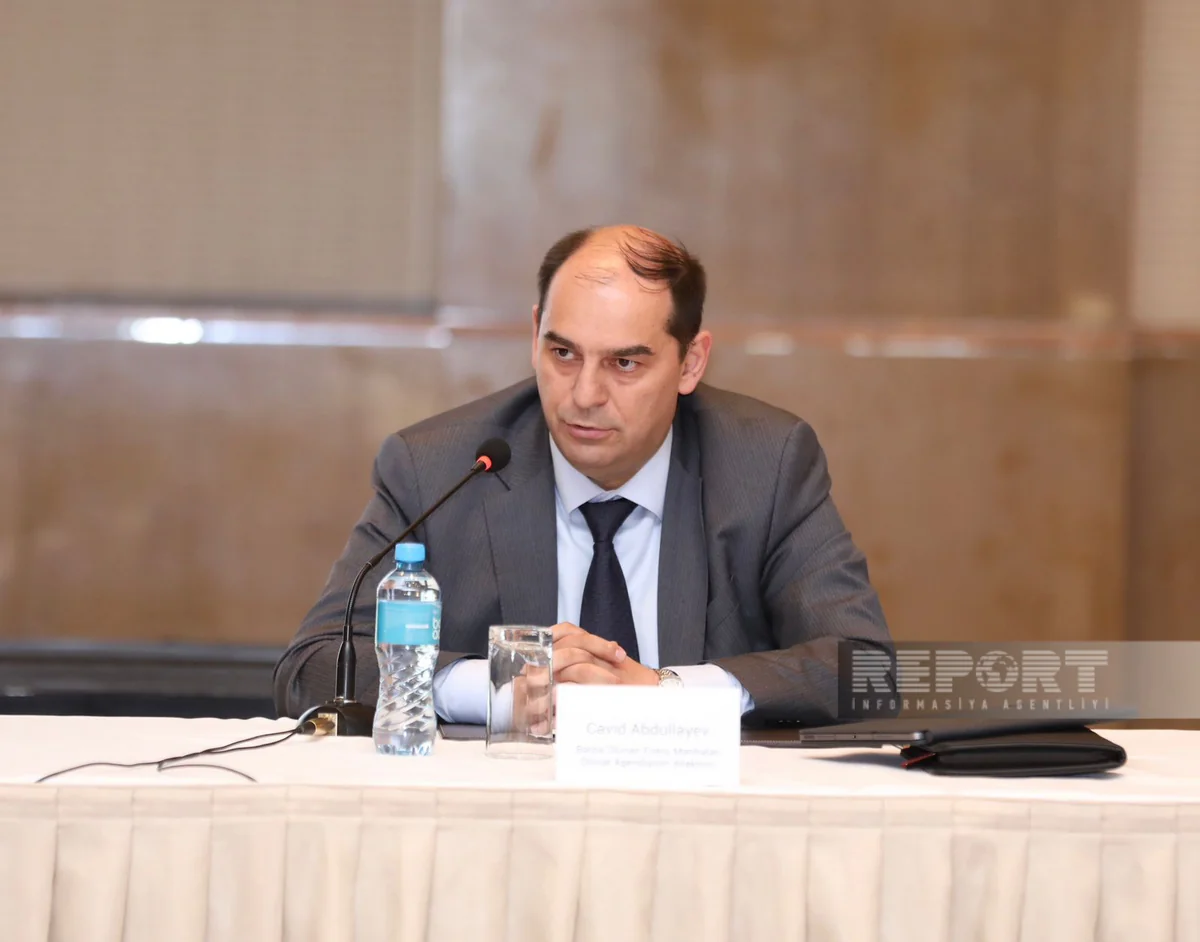 Cavid Abdullayev: Azərbaycanın 290 QV-dan çox bərpaolunan enerji potensialı var