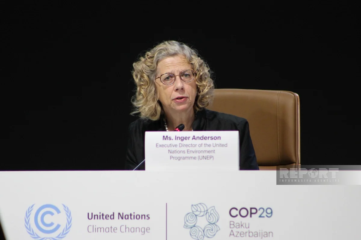 Ингер Андерсен: На долю туризма приходится 8,8% мировых выбросов углерода