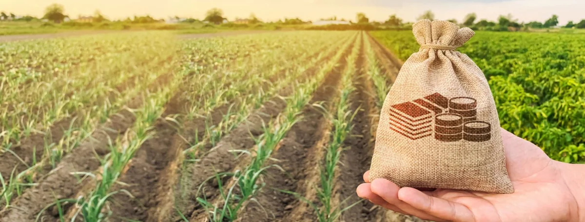 “Digital Agro” sayəsində kənd təsərrüfatının monitorinqi təkmilləşdirilib