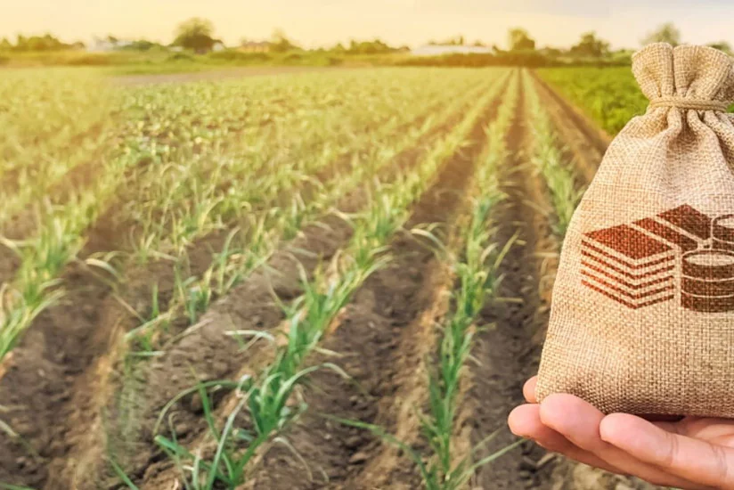 “Digital Agro” sayəsində kənd təsərrüfatının monitorinqi təkmilləşdirilib