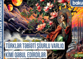 Qərbi Azərbaycan Xronikası: Türklər yaşadıqları hər yerdə qaya üstündə təsvir yaradırdılar 