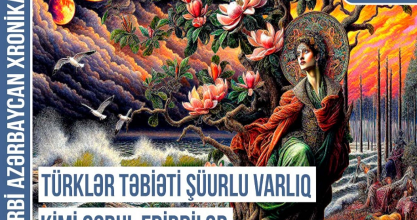 Qərbi Azərbaycan Xronikası: Türklər yaşadıqları hər yerdə qaya üstündə təsvir yaradırdılar 
