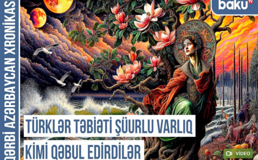 Qərbi Azərbaycan Xronikası: Türklər yaşadıqları hər yerdə qaya üstündə təsvir yaradırdılar 