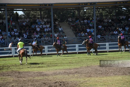 Azərbaycan millisi dünya çempionu olub