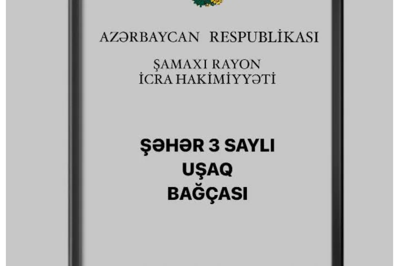 В Шамахы заведующая детсадом и повар наказаны за грубое обращение с ребенком