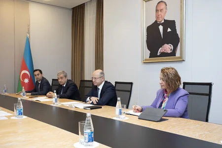 Nazir: “TAP ilə Avropaya 45 milyard kubmetrdən çox Azərbaycan qazı tədarük edilib” - YENİLƏNİB