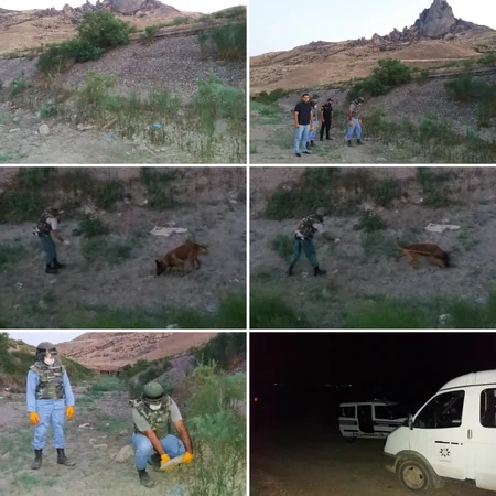 Siyəzəndə mərmiyə oxşar predmet tapıldı