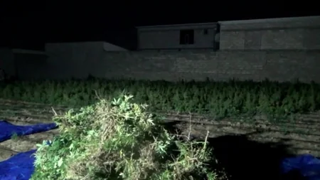 Bakıda uşaqları narkokuryerliyə cəlb etmək istəyən dəstə üzvləri saxlanılıb
