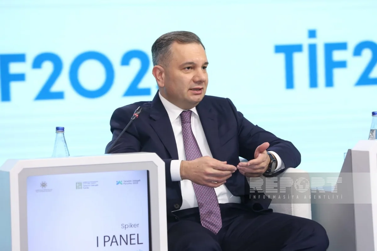 Samir Məmmədov: “İlon Mask rəqəmsallaşmada bizə dəstək versə yaxşı olar”