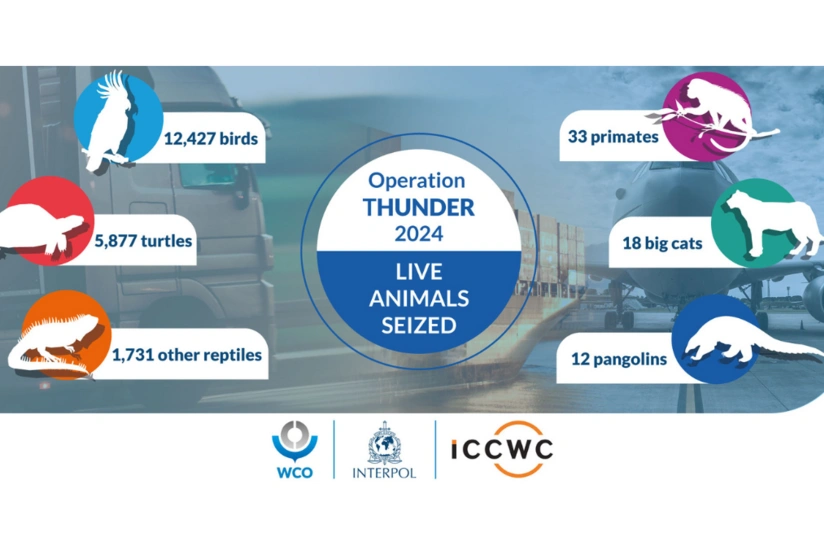 İnterpol genişmiqyaslı əməliyyat keçirib, 20 minə yaxın heyvan müsadirə edilib