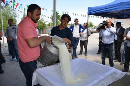 Azərbaycanda sarı pendir istehsalına başlanılıb
