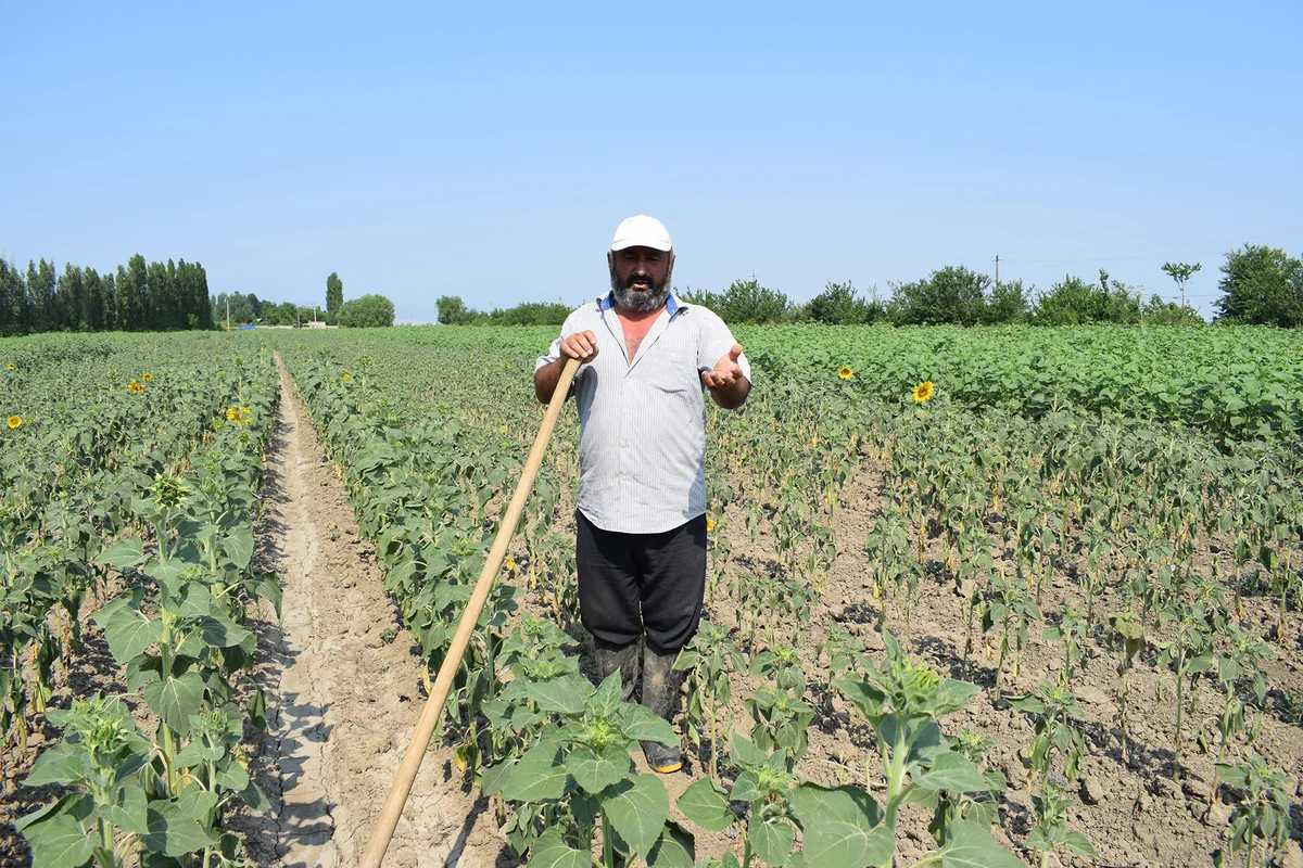 Нынешний фермер нуждается в многочисленных услугах - МНЕНИЕ