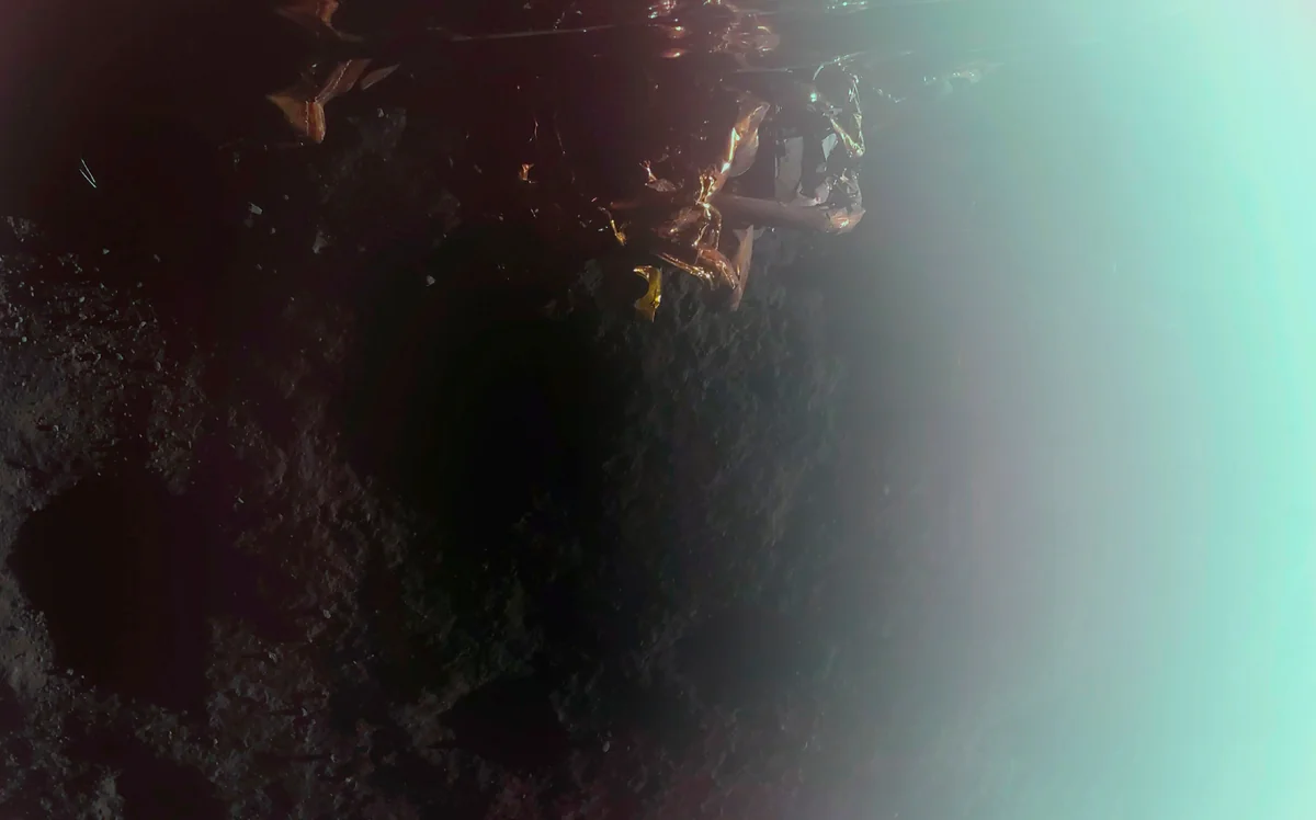 NASA опубликовало первое фото модуля Blue Ghost 1 с Луны