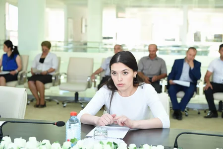 10 vətəndaş Azad Rəhimova iş üçün müraciət edib - FOTO