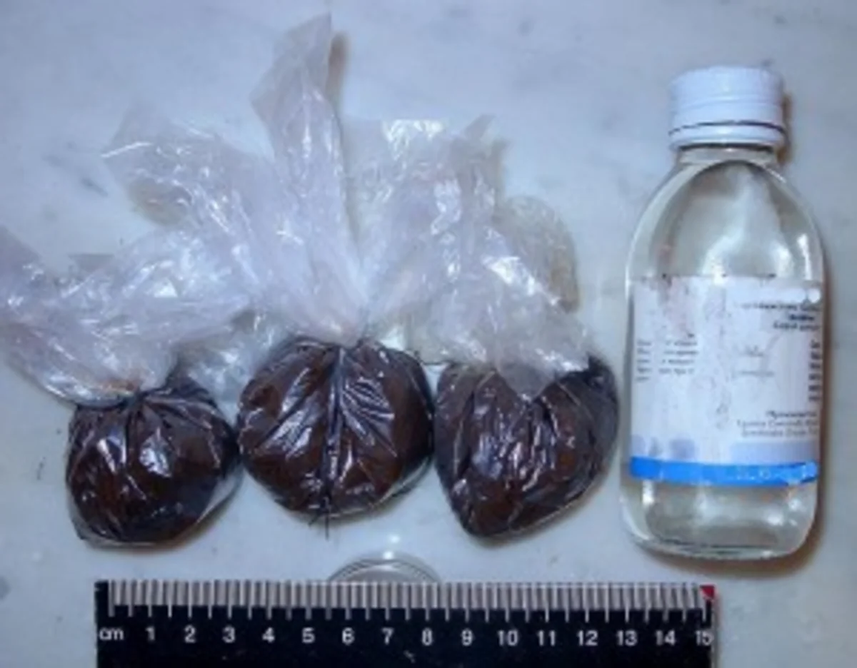 ​Dağıstanda narkotik qaçaqmalçılığına görə azərbaycanlı qadın saxlanılıb