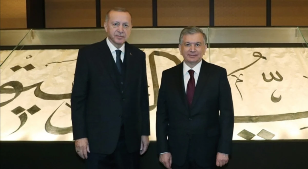 Heads of Turkey and Uzbekistan mull bilateral relations