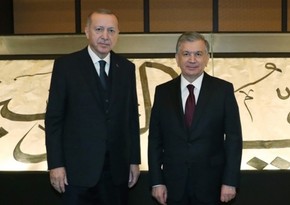 Heads of Turkey and Uzbekistan mull bilateral relations