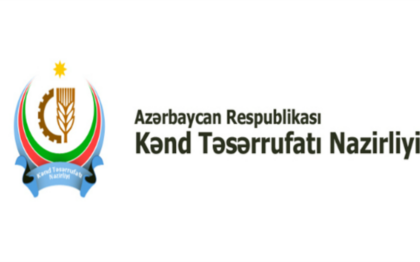 Nazirlik: ​Azərbaycanın kənd təsərrüfatında yeni inkişaf trendləri yaranıb