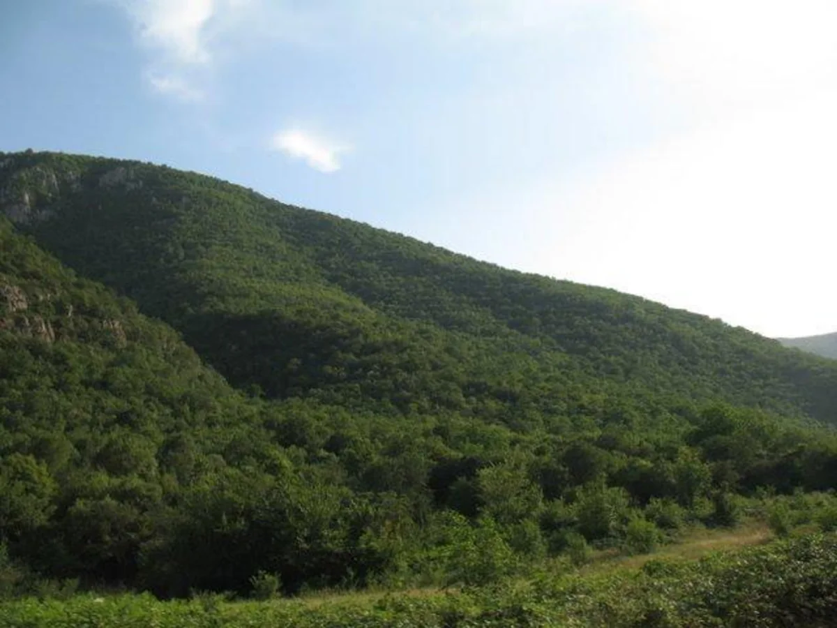 Azad edilən ərazilərdə 2 dövlət təbiət qoruğu və 4 yasaqlıq var