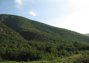 Azad edilən ərazilərdə 2 dövlət təbiət qoruğu və 4 yasaqlıq var