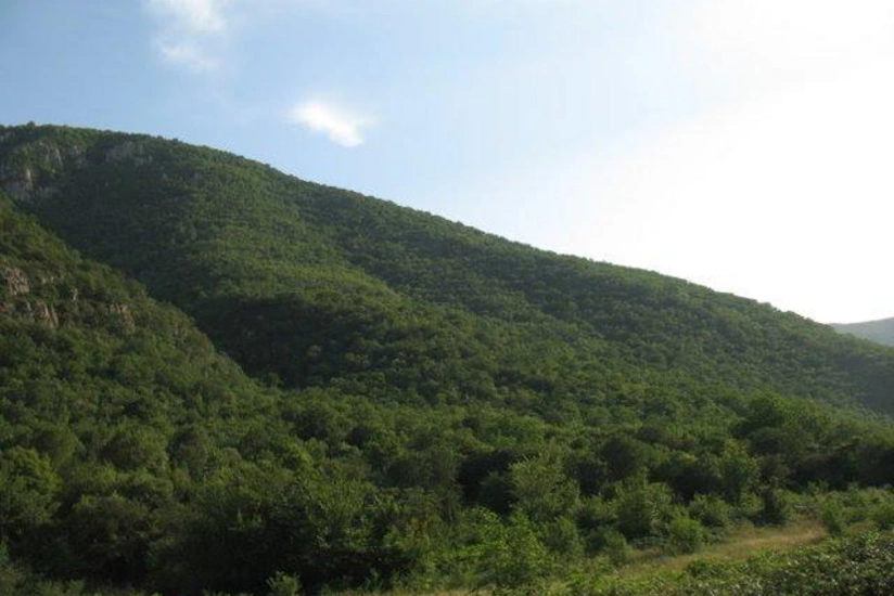Azad edilən ərazilərdə 2 dövlət təbiət qoruğu və 4 yasaqlıq var