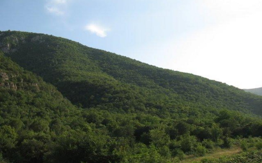 Azad edilən ərazilərdə 2 dövlət təbiət qoruğu və 4 yasaqlıq var
