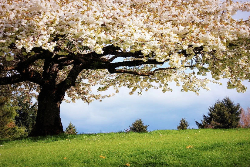 Weather forecast for tomorrow in Azerbaijan announced